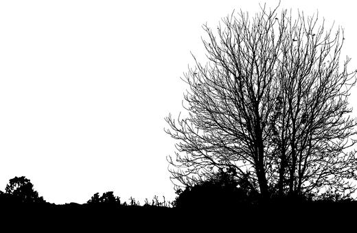 ���B(y��ng)�������R�����������ɹ�