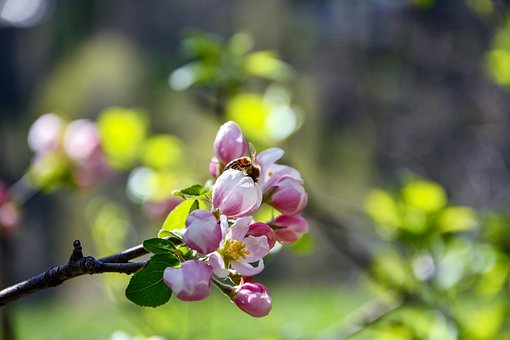 ���Ӳ��J(r��n)�� �v�Л]�к��k��