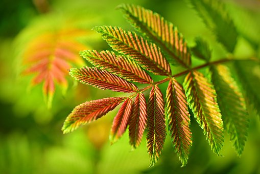 解決孩子拖拉磨蹭的方法