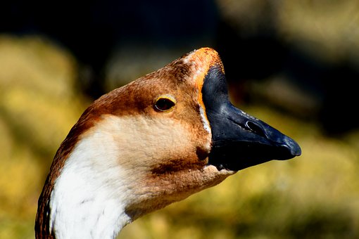 一年級孩子總是頂嘴不服氣怎么辦