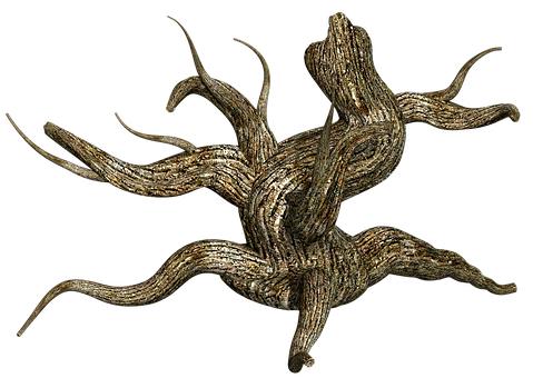 10�q���ӵ��������c�ͽ�������