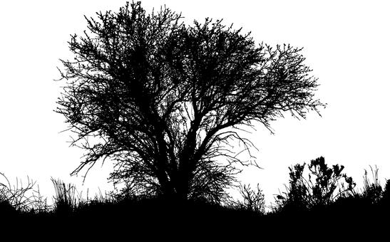 小學三年級孩子做事磨蹭怎么辦