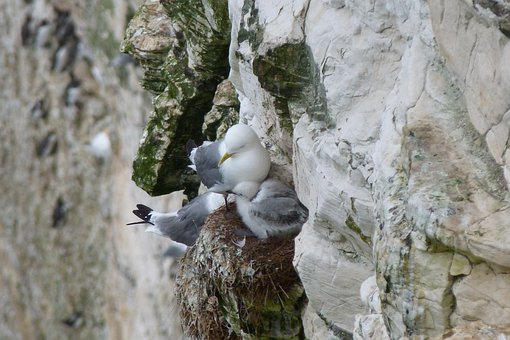 �����L��������9��(j��ng)���Α�