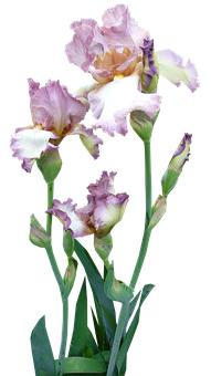 ���B�������õ��������T����С������