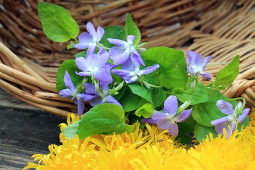 10歲孩子說謊該怎樣教育最好