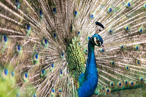 �挦�������e �ǻ۵ĸ�ĸ����(y��ng)ԓ��Α�(y��ng)����