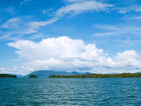 孩子偷帶手機(jī)去學(xué)校家長應(yīng)該怎么做