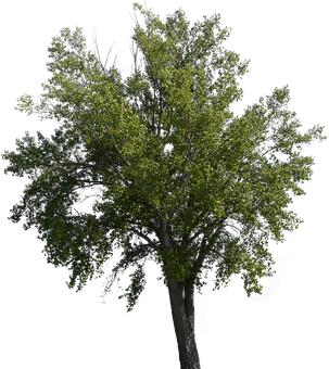 �����������׃�����Ҫ��