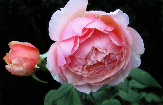 ��һ���ӳ����Α���ô����