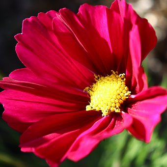 家長難捉摸孩子心思 聘大學生家教充當情感臥底