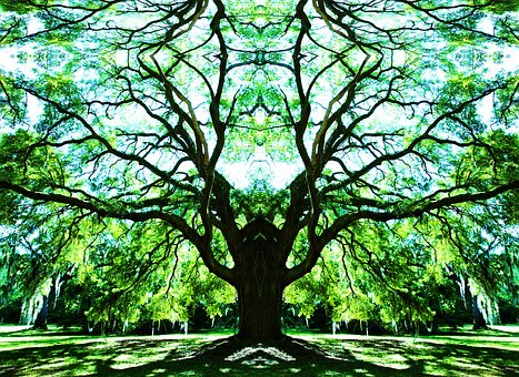 青春期的孩子叛逆厭學家長應該怎么做