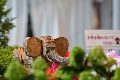 初三數學基礎差的學生如何補救