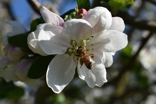 孩子學(xué)習(xí)習(xí)慣不好怎么辦