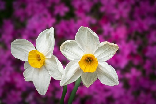 一位父親給女兒的36條建議受網友熱捧