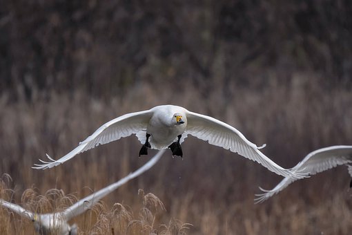 �к�15�q������ԓ��ô������̎