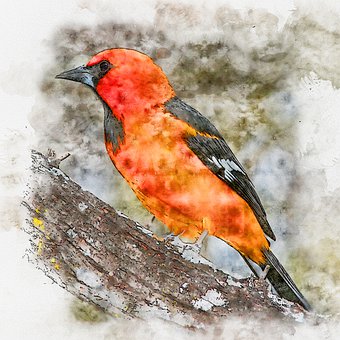 父母的教養(yǎng)方式與兒童的社會(huì)化發(fā)展