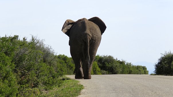 剛上初一的孩子不想上學怎么辦