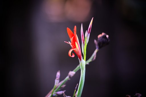 為中考家長付出2萬高額補課費 孩子成績不升反退