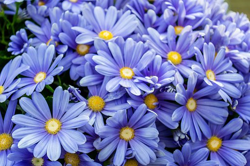 һW(xu)αMm(yng)лW(xu)W(xu)(x)