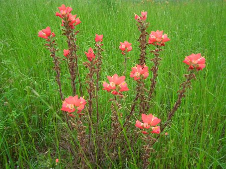 (chung)I(y)Ǿ͘I(y)yL(fng) W(xu)خ(dng)ϰ