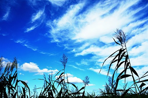 �������nע���������е�ԭ�򼰽�Q����