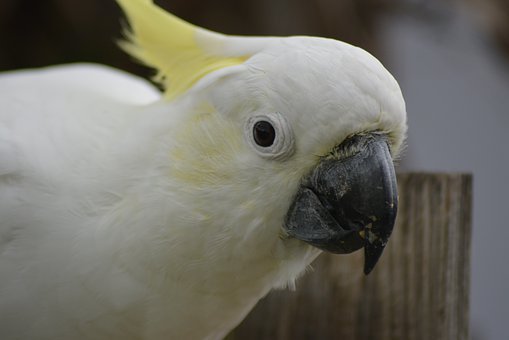 現(xiàn)在初中孩子有必要配手機嗎