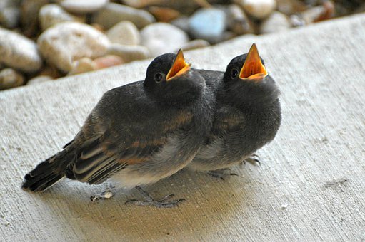 高中生偷偷玩手機怎么處理