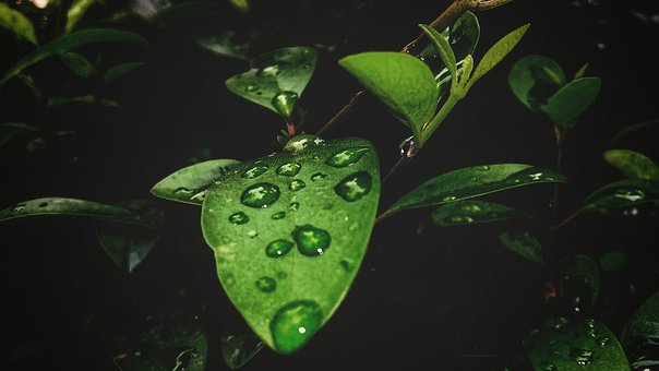 ��������������У����Ӌ�������s31�f ����������9.4%