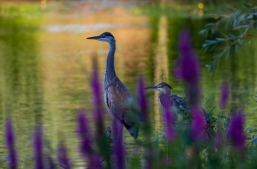 給初二孩子買手機:如何幫助孩子提升自控能力