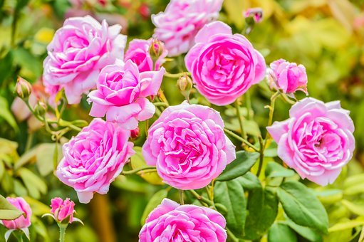 �����ĩ����׌�����ߏ�·��8�N��������