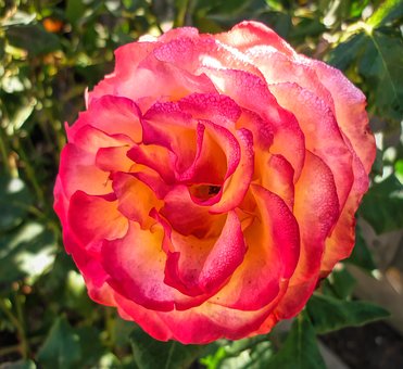 高中歷史所有知識點(diǎn)整理