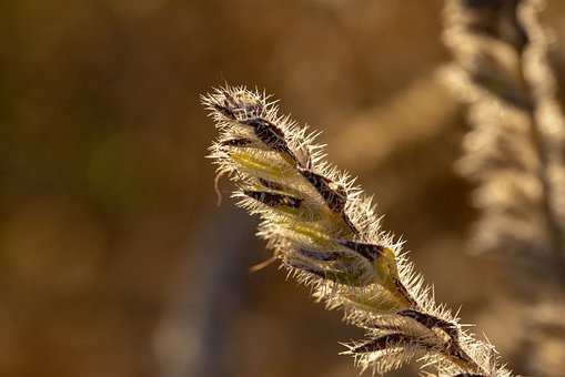 ��һ��(g��)��(y��u)��Ĵ�W(xu��)���ҽ̣���Ҫע����Щ���(xi��ng)��