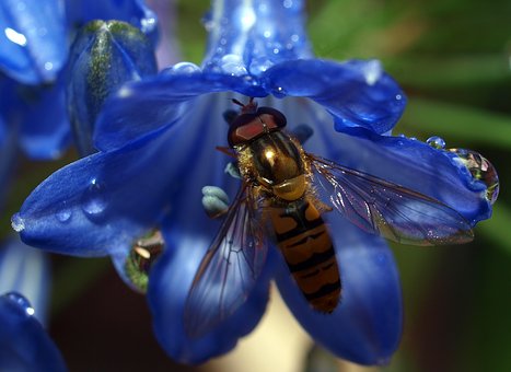 家長教育與孩子心理健康教育心得體會