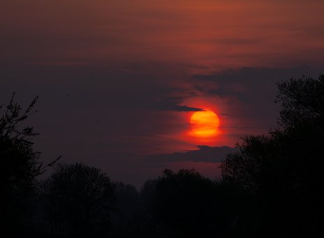 孩子在家學不進去怎么辦
