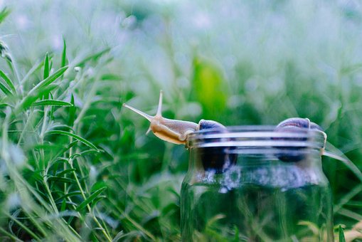 ���ӿ����֙C��ô����