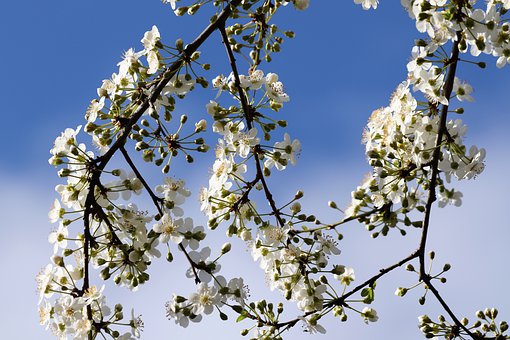 �ഺ������ĺ�����ô�ܽ�