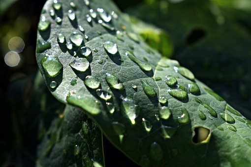 ���]�����ĺ����ܲ����όW