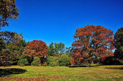 女孩子早戀怎樣教育才是正確的方法