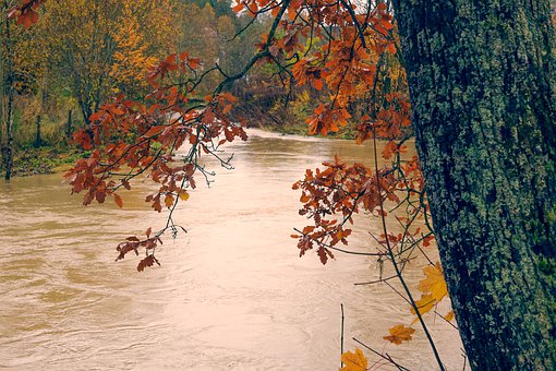 七八歲的女孩不聽話怎么辦