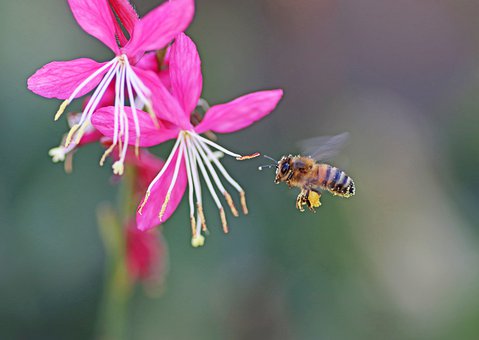 _ĽL(zhng)_(do)ʹ֙C(j)