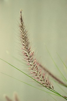 ���B�옷���ŵĺ��ӣ�12�N��������