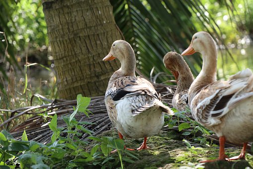 孩子上課說話怎么教育