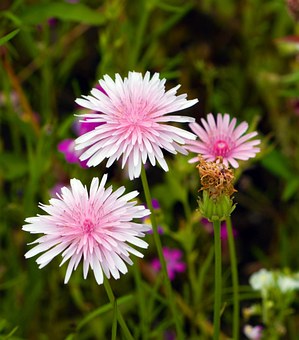 ���꼉(j��)���ӿ�ԇ�o��?ji��n)�ô�k