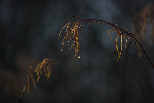 ���к��������ν���