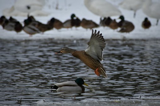 如何幫助孩子減少對手機的依賴