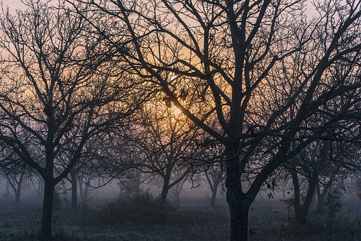 孩子到了叛逆期不聽話頂嘴怎么教育