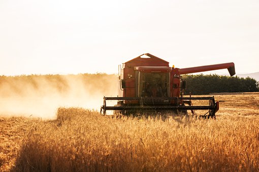 ������Ҫ�֙C(j��)���L(zh��ng)ԓ��ô�k