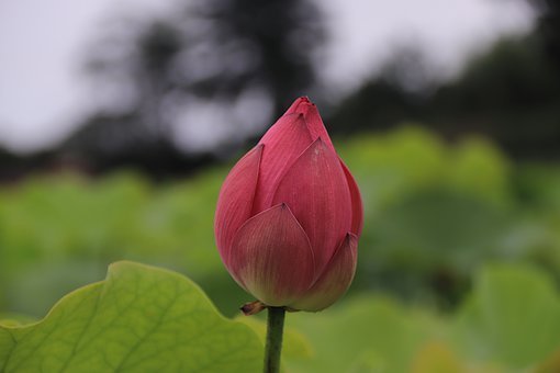 С���ӛ](m��i)�Yò��ô����