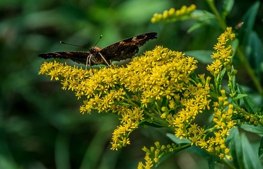 如何在暑假提高初中數學