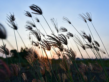 Ո�ҽ̣������Ǵ�W���ҽ̺�߀����һ���ώ����m�ϣ�